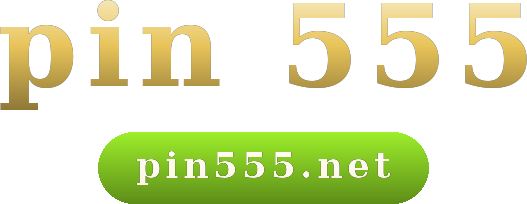 pin 555 logo